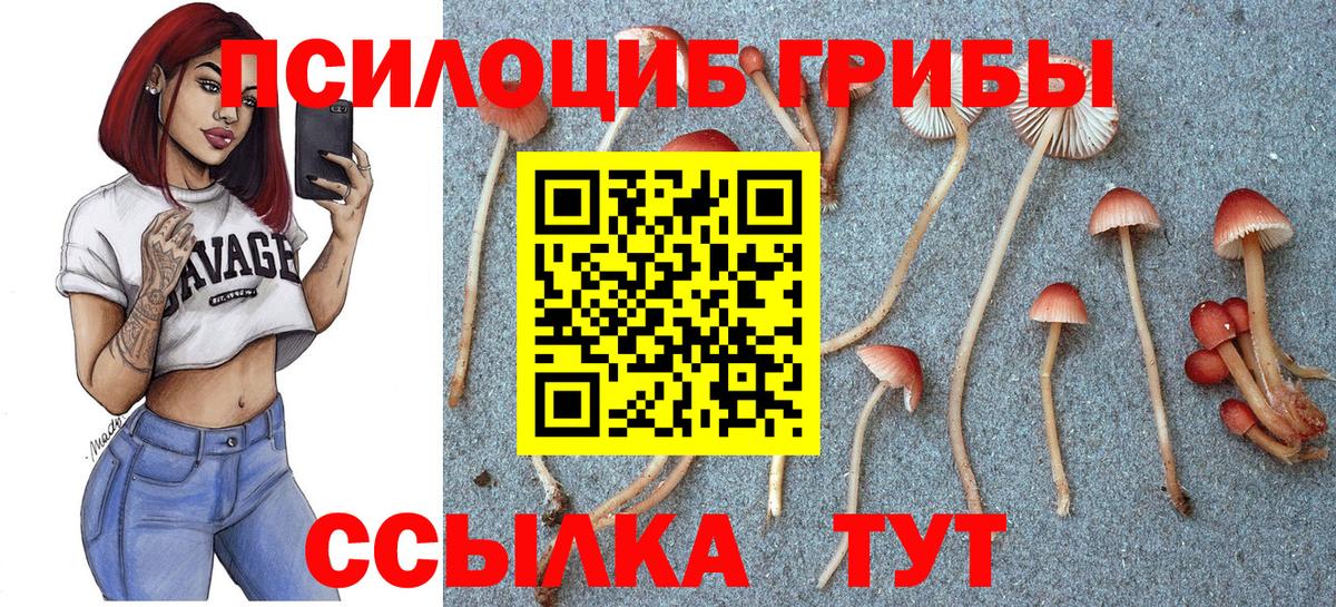 Галлюциногенные грибы мицелий  Галлюциногенные грибы мухоморы  Вход с VPN  Тосно 
